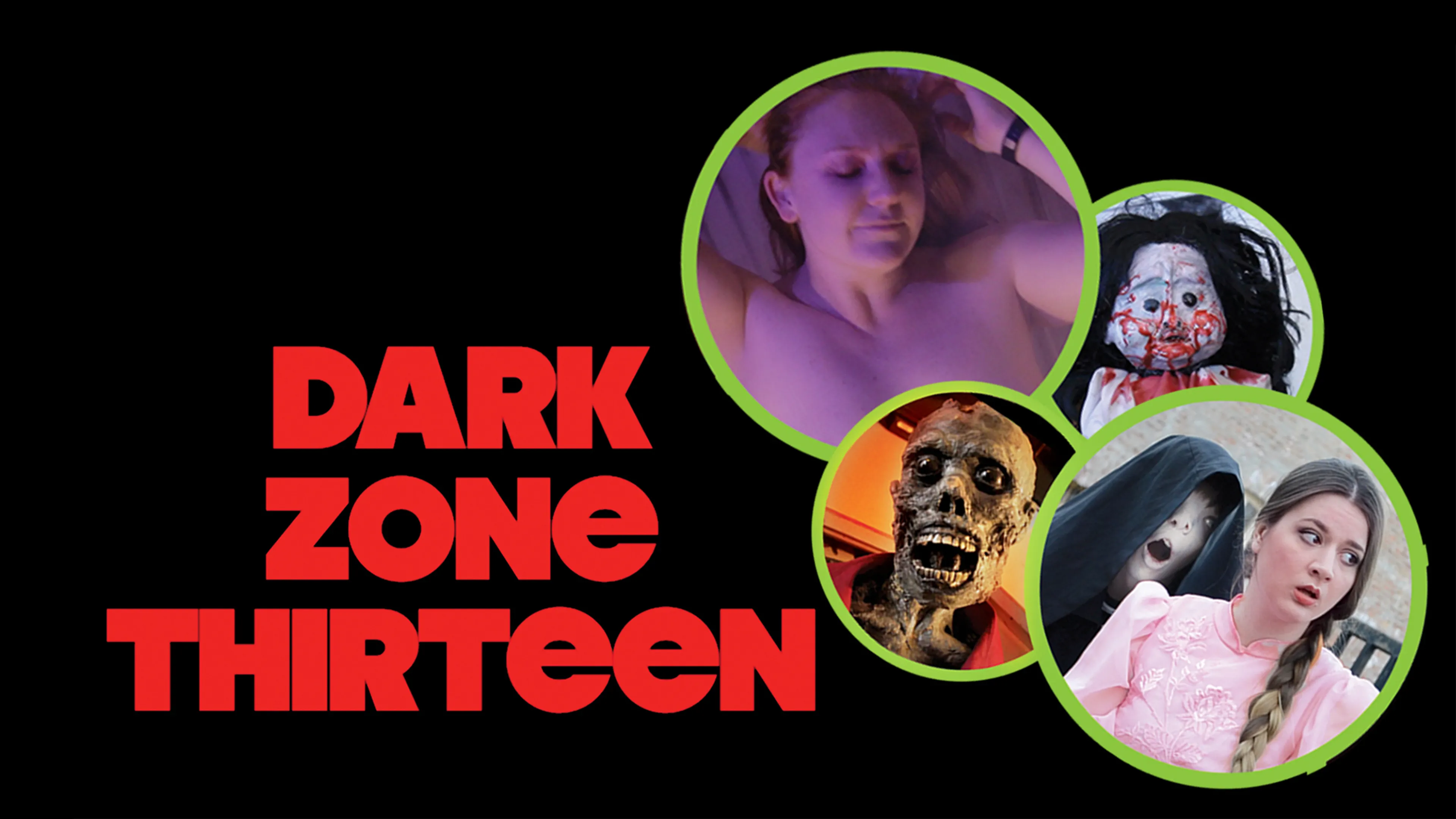 Dark Zone Thirteen poster